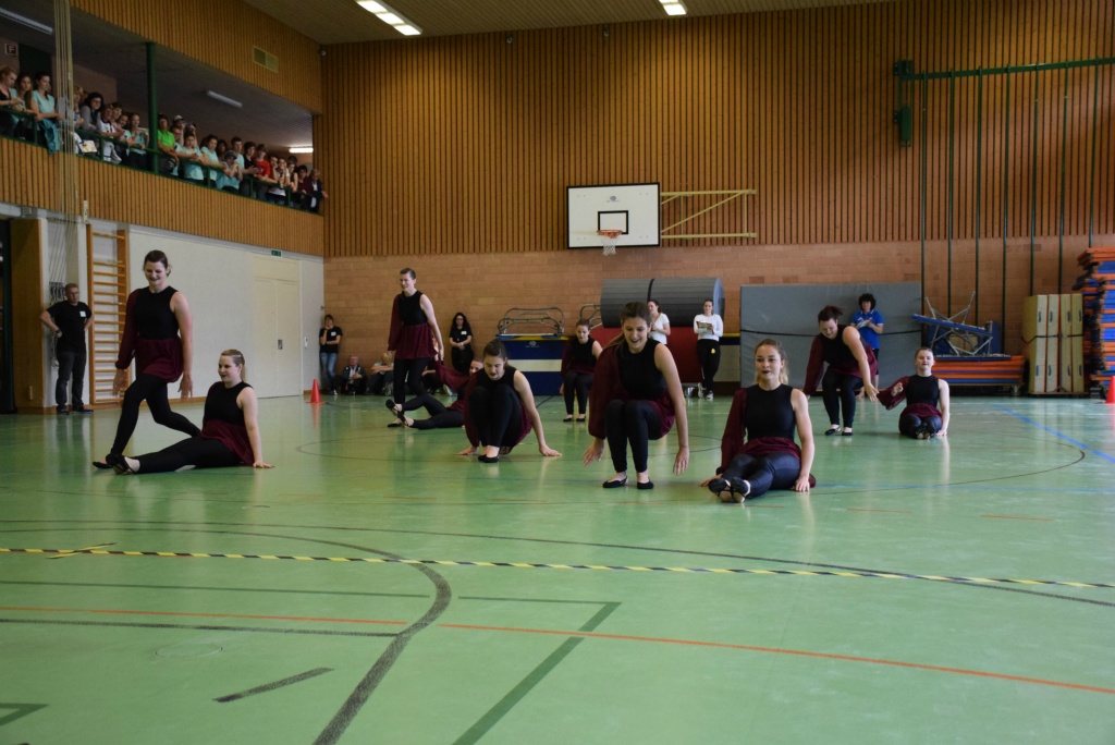 Bild (233)